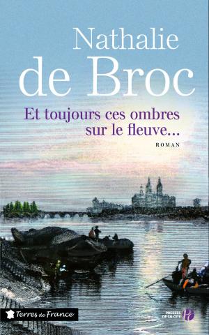 Cover of the book Et toujours ces ombres sur le fleuve... by Jules MICHELET, Laurent THEIS