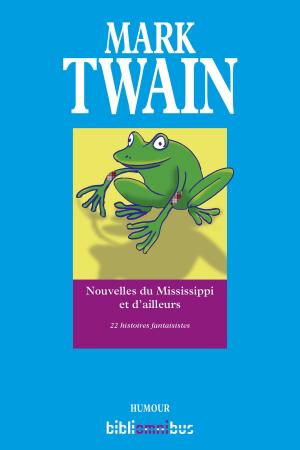 Cover of the book Nouvelles du Mississippi et d'ailleurs by Michel QUINT