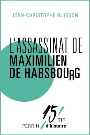 Cover of the book L'assassinat de Maximilien de Habsbourg by Patrick BREUZE