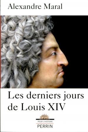 Cover of the book Les derniers jours de Louis XIV by Philippe MELLOT