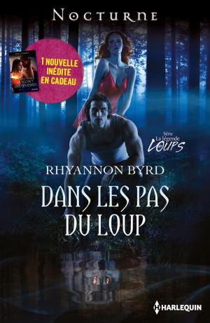Cover of the book Dans les pas du loup - Le secret des ténèbres by Vivi Anna