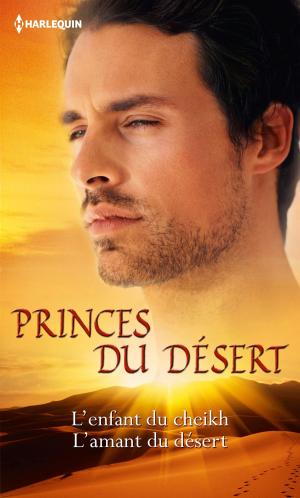 Cover of the book Princes du désert by Terri Brisbin