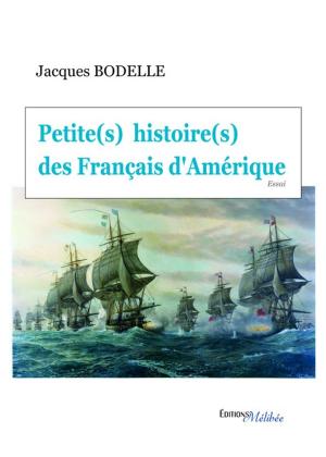 bigCover of the book Petite(s) histoire(s) des Français d'Amérique by 