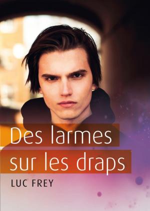 Cover of the book Des larmes sur les draps by Christophe Fotsix
