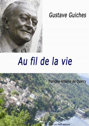Cover of the book Au fil de la vie by Antonio Dinetti
