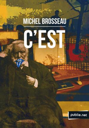 Book cover of C'est