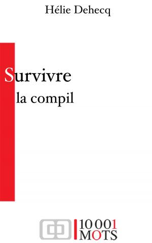 Cover of the book Survivre, la Compil' by David Loshelder