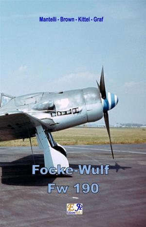Cover of the book Focke-Wulf Fw 190 by 大衛．哥德布拉特(David Goldblatt)