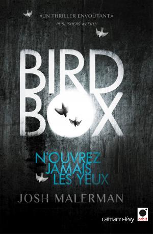 Book cover of Bird box