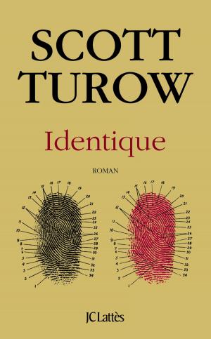 Cover of the book Identique by Dominique Bona
