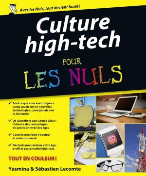 Cover of the book Culture "High Tech" Pour les Nuls by Nathalie PIERRET, Brigitte LALLEMENT