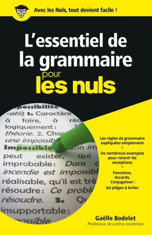 Cover of the book L'essentiel de la grammaire Pour les Nuls by Laurent MARIOTTE, COLLECTIF