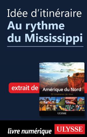 Cover of the book Idée d'itinéraire - Au rythme du Mississippi by David Ducoin