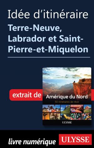 Cover of the book Itinéraire Terre-Neuve, Labrador et Saint-Pierre-et-Miquelon by Tours Chanteclerc