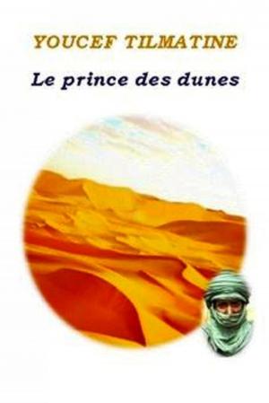Cover of the book Le prince des dunes by Jean-Pierre Plouffe