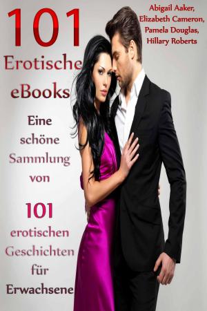 Book cover of 101 Erotische eBooks Eine schöne Sammlung von 101 erotischen Geschichten für Erwachsene