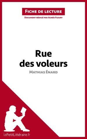 Cover of the book Rue des voleurs de Mathias Énard (Fiche de lecture) by Jeremy Lambert, lePetitLittéraire.fr