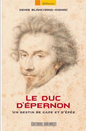 Book cover of Le Duc d'Épernon