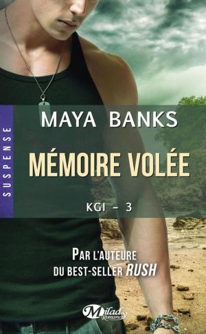 Book cover of Mémoire volée