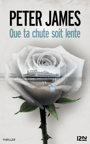 Cover of the book Que ta chute soit lente by Robert VAN GULIK