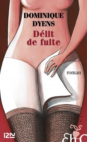 Cover of the book Délit de fuite by Jean-Marc SOUVIRA