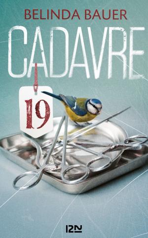 Cover of the book Cadavre 19 by Bruno GAZZOTTI, Fabien VEHLMANN, Kidi BEBEY