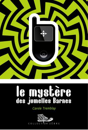 Cover of the book Le mystère des jumelles Barnes by Alain M. Bergeron