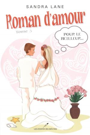 Cover of the book Roman d'amour T.3 by Martine Labonté-Chartrand