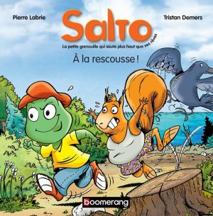 Book cover of Salto 3 - À la rescousse !