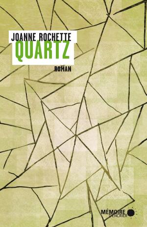 Cover of the book Quartz by André Corten