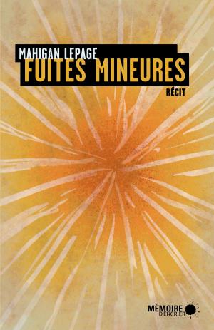 Book cover of Fuites mineures