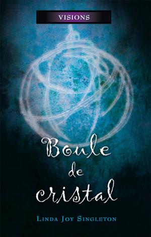 Cover of the book Boule de cristal by Doug Heyes, 