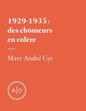 Cover of the book 1929-1935: des chômeurs en colère by Marc-André Carignan