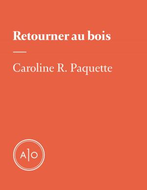 Cover of the book Retourner au bois by Marc-André Cyr