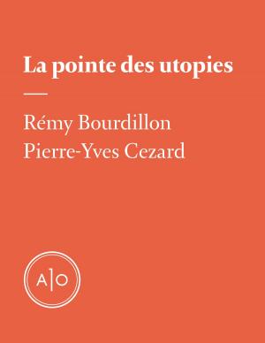 Cover of the book La pointe des utopies by Anaïs Barbeau-Lavalette