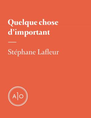 Cover of the book Quelque chose d’important by Caroline R. Paquette