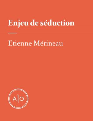 Cover of the book Enjeu de séduction by Nicolas Langelier