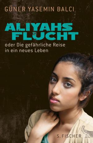 Cover of the book Aliyahs Flucht by Michael Skirl
