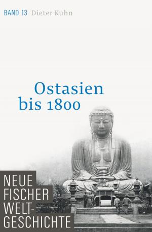 Cover of the book Neue Fischer Weltgeschichte. Band 13 by Peter Prange