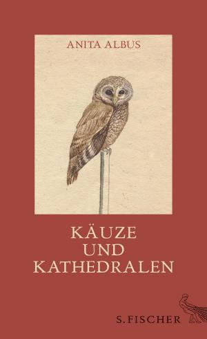 Cover of the book Käuze und Kathedralen by Michael Lentz