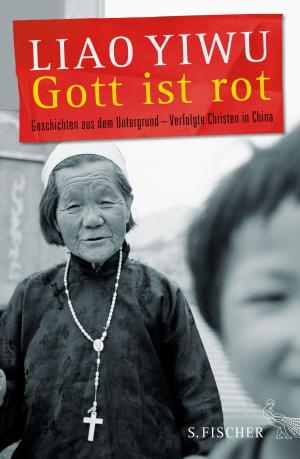 Book cover of Gott ist rot