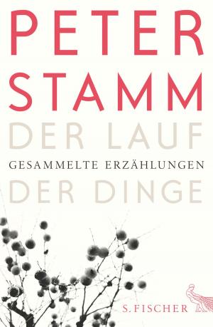 Cover of the book Der Lauf der Dinge by Klaus-Peter Wolf