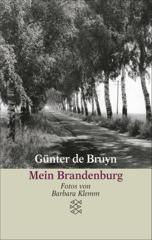 Cover of the book Mein Brandenburg by Christoph Ransmayr