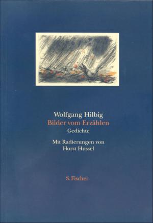 Cover of the book Bilder vom Erzählen by Alfred Döblin, Sascha Michel