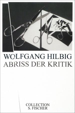 Cover of the book Abriss der Kritik by Monika Dommann