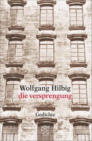 Cover of the book die versprengung by Christoph Ransmayr