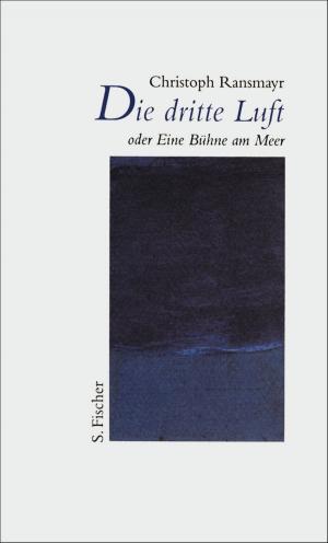 Book cover of Die dritte Luft oder Eine Bühne am Meer