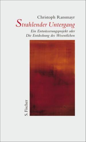 Book cover of Strahlender Untergang