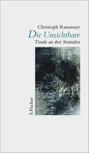 Cover of the book Die Unsichtbare by Eric-Emmanuel Schmitt