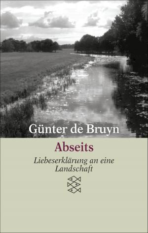 Cover of the book Abseits by Günter de Bruyn